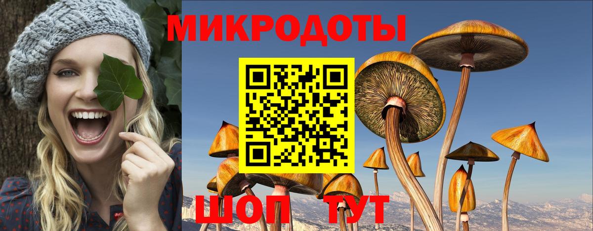 Фурманов  Галлюциногенные грибы мухоморы  Вход с VPN 